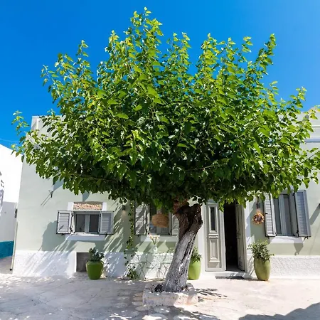 בית נופש Mounouria House Koskinou (Rhodes)