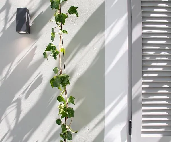 Prázdninový dům Mounouria House