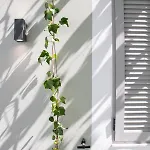 Casa vacanze Mounouria House